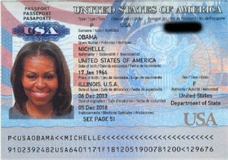 Illustration for article titled Passport Photo Hack Reveals Even Michelle Obama Doesn't Look Good With Wavy Lines Over Her Face